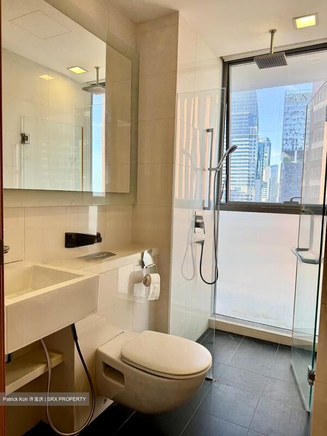 Lumiere (D2), Apartment #479801781